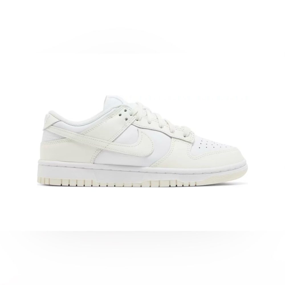 New in Box Nike Dunks W 10.5 / M 9